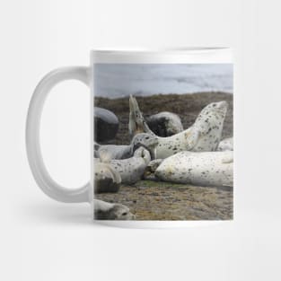 Speckled Seals Mug